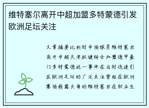 维特塞尔离开中超加盟多特蒙德引发欧洲足坛关注